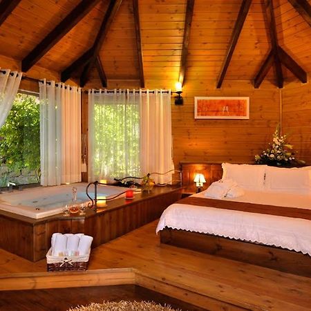 Talia Cabin Guest & Spa Rosh Pinna Exterior photo